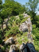 Aitzegigaina tontorra