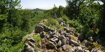 Aitzegigaña tontorra