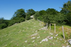 Ekialdeko bizkarreko igoerako pasartea