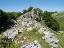 Arriolatz tontorra, IEtik