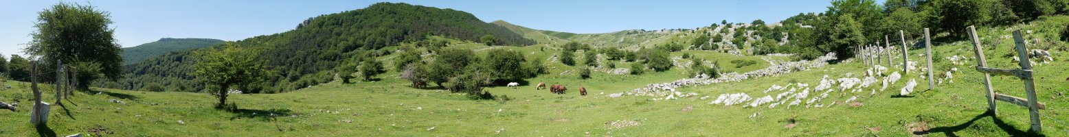 Beloki Balenkalekuko larreetatik