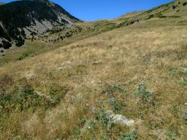 camino de los muertos