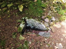 Miruatza Trikuharria