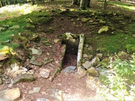 Miruatza Trikuharria