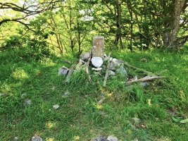 Indiagana Iparraldea