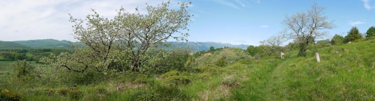 GR-9 bidea Aldatzetik gora