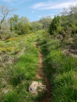 Arrizuri aldera igotzen