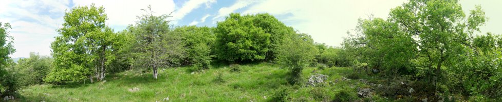 HMko bizkarreko pasarte bat, Arrizuri