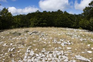 Akuetxiki eraztun tumuloa