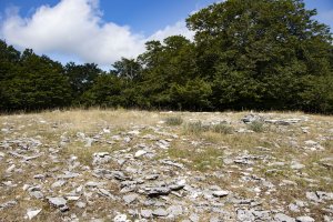 Akuetxiki eraztun tumuloa