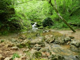 Erreka Erroitegi aldean