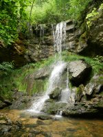 Erreka Erroitegi aldean