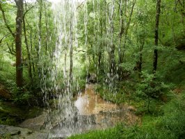 Beste ur jauzi bat bide bazterrean