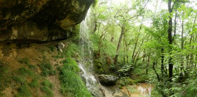 Beste ur jauzi bat bide bazterrean