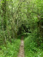 Bidea Igoroin herrira gerturatzen