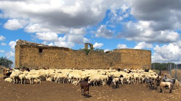 San Isidro ermita, Kaseda