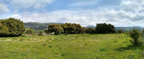 Errezumendiko gailurra