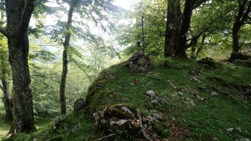 Harrikurutze M. (851m) tontorra