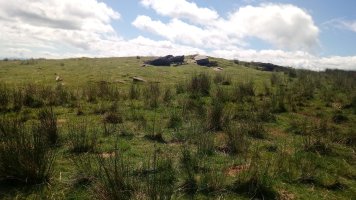 Otanarte (1064m) tontorra