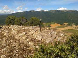 Buzoia Ekialdeko Tontorran