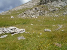 planas de lapazosa 2