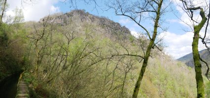 Arrisoraioko Harkaitza Ameraungo kanaletik