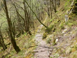 Ameraungo kanaletik datorren bidea