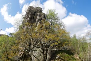 Ameraungo kanaleko bidea gandorrera igotzen denekoa