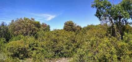 Banderako gailurra, ikuspegi handirik gaba