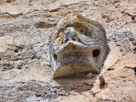 San Esteban Eliza Riberan