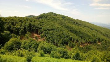 Abraku (1003m) ekialdetik