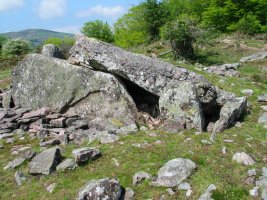 Lamizilo trikuharria