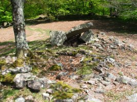 Errolan  trikuharria 2005