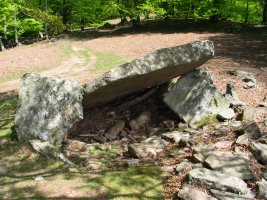 Errolan  trikuharria 2005