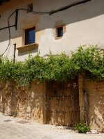 Bengara auzoko etxea, Apilaiz