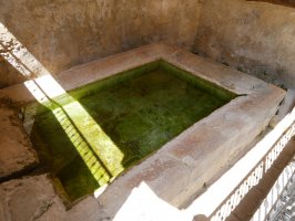 Goikara auzoko garbitokia, Apilaiz