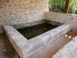 Beheko garbitokia, Aletxa