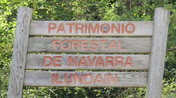 Kartela, Ilundain-Aranguren