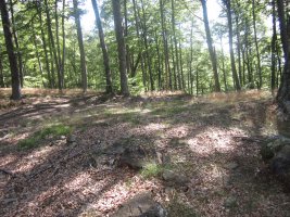 Dólmen Auntzetxe  (Julio 2013)