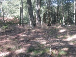 Dólmen Auntzetxe  (Julio 2013)