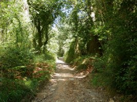 Hegoaldeko magaleko bideko pasarte bat