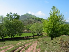 Basagarko lepotik ikusita