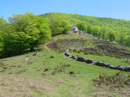 Basagar aldetik gora, Arlegiko kaskoaren inguruan