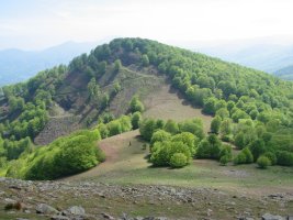 Urruxka, aldameneko gaina