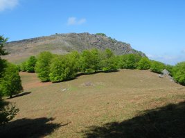 Urruxka aldetik ikusita