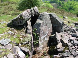 Lamizilo trikuharria, Basagar aldean