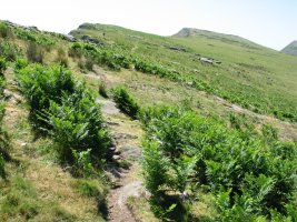 Bidea Mendebaldeko isurialdean barrena