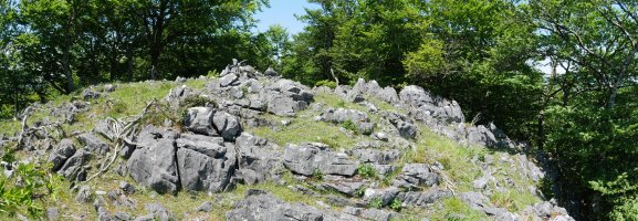 Intsusako Harmala tontorra