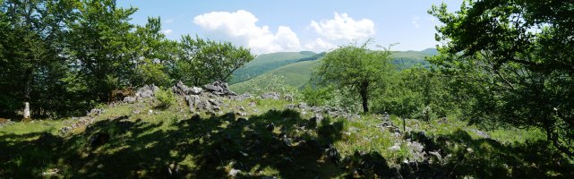 Intsusako Harmala tontorra