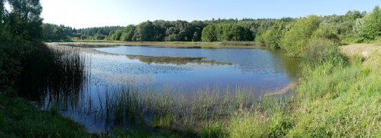 Los Arenales uharka, Quintana aldean